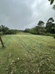 Lote 1500m ubicado en zona céntrica de Aguas Zarcas en Aguas Zarcas, San Carlos, Alajuela — 40 000 ₡ - Foto 4 de 4
