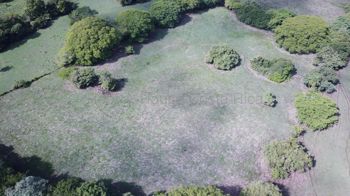 Venta de Finca en Manzanillo-Puntarenas. RAH 27-896 - Photo 3 of 3