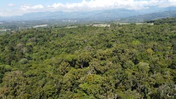 7+hectares de bosque con rio en La Hermosa, Perez Zeledon, Costa Rica. in El General, Pérez Zeledón, San José — $125,000 - Photo 5 of 7