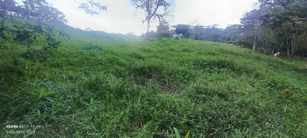 Espectacular propiedad en Agua Buena, Coto BRUS.  in Aguabuena, Coto Brus, Puntarenas — ₡ 15 500 000