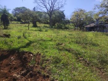 Lote en Venta Atenas, Atenas, Alajuela