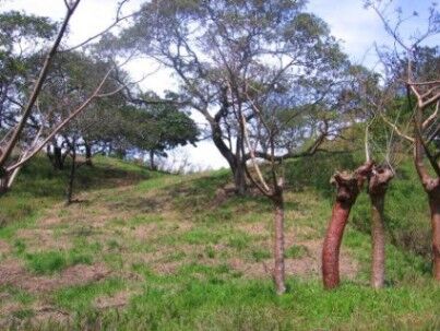 Terreno fabuloso natural con vistas en Turrúcares, Alajuela — $189,000