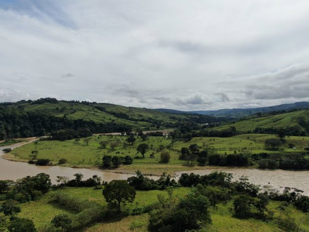 THE LIVESTOCK AND AGRICULTURE FARMERS in Cajón, Pérez Zeledón, San José — $4,000,000