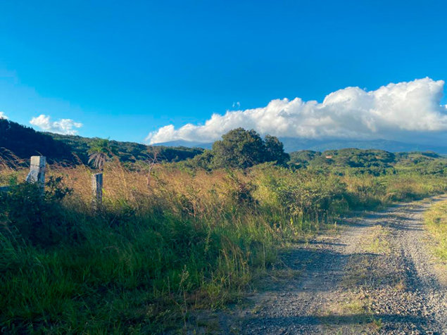 Finca, San Jorge, Bagaces Guanacaste en Mogote, Bagaces, Guanacaste — $1,500,000 - Foto 3 de 3