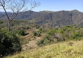 Finca en Venta Monte Romo, Hojancha, Guanacaste