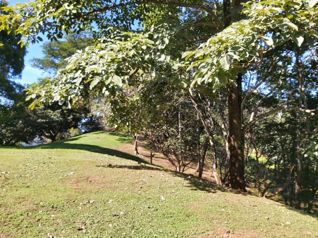 SE VENDE LOTE EN SAN MATEO CALLE LA LIBERTAD in Desmonte, San Mateo, Alajuela — 87 000 000 ₡ - Photo 4 of 24