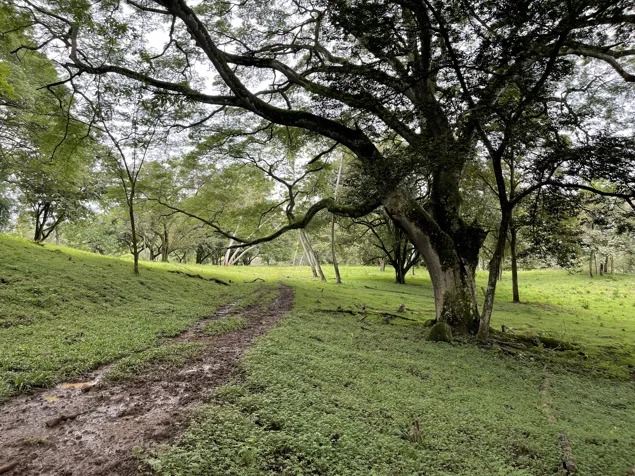 La Garita Alajuela, propiedad para desarrollo 6.2 hectareas en Garita, Alajuela — $2,500,000 - Foto 3 de 9