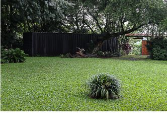 Quinta En Venta Palmitos de Naranjo 5,855m2 in Palmitos, Naranjo, Alajuela — $300,000 - Photo 4 of 7