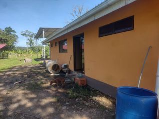VENTA DE FINCA CON CASA, HEREDIA, SARAPIQUÍ, PUERTO VIEJO en Puerto Viejo, Sarapiquí, Heredia — 145 000 000 ₡ - Foto 5 de 12