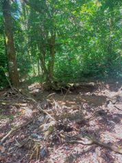Oportunidad de inversión en Esparza, Puntarenas en Espíritu Santo, Esparza, Puntarenas — $445,000 - Foto 4 de 4