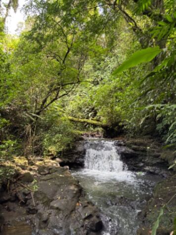 ¡Oportunidad en Fraijanes! Terreno de 8450m2 in Alajuela — ₡ 250 000 000