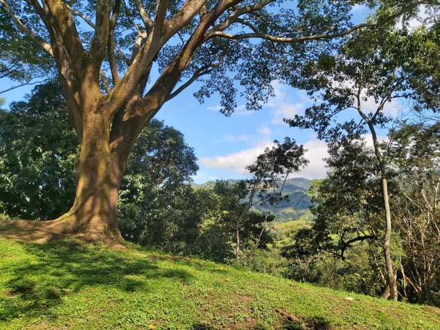 SE VENDE LOTE EN SAN MATEO CALLE LA LIBERTAD in Desmonte, San Mateo, Alajuela — ₡ 87 000 000