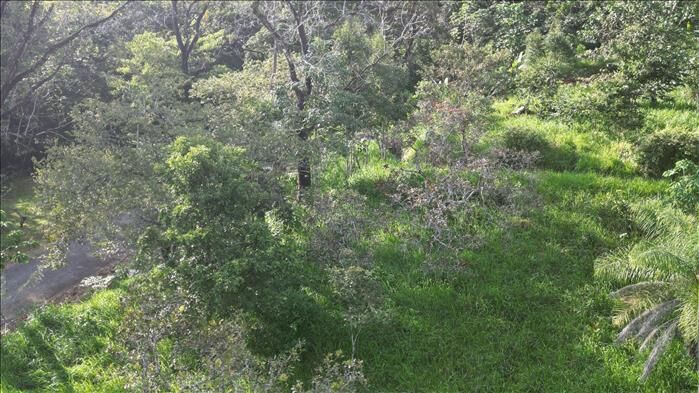 LOT FOR SALE IN ALEGRIA VILLAGE en San Mateo, Alajuela — $197,000