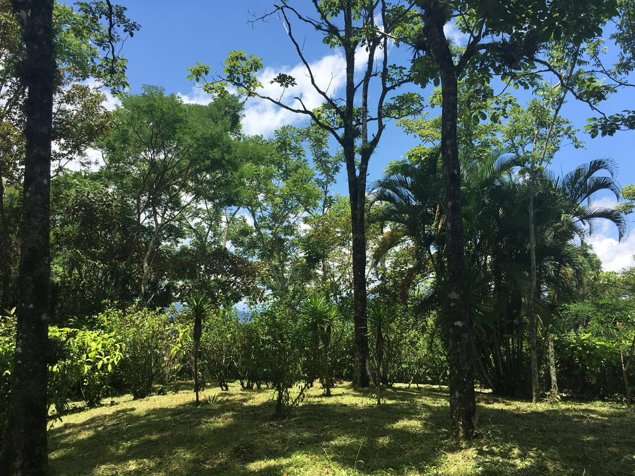 Venta de terreno en Guayabo de Mora. Viva en armonía con la naturaleza in Guayabo, Mora, San José — ₡ 85 000 000