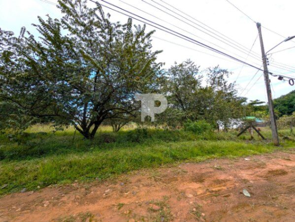 LOTE EN VENTA EN COYOLAR-OROTINA ALAJUELA A METROS DE LA 27 SCG34 in Coyolar, Orotina, Alajuela — ₡ 39 000 000