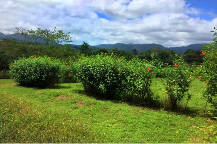 VENTA DE LOTE, ALAJUELA, SAN CARLOS, PEÑAS BLANCAS, CHACHAGUA. en Quesada, San Carlos, Alajuela — $27,500