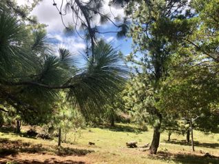 VENTA / Terreno en San Isidro de Heredia - Foto 3 de 3