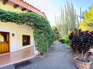 VENTA DE FINCA DE 31,95 HECTÁREAS EN OROSI, PARAÍSO, CARTAGO en Orosi, Paraíso, Cartago — $2,500,000 - Foto 5 de 19