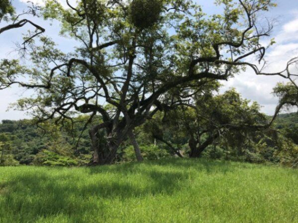 Venta de Lote en Orotina de Alajuela. RAH 26-868 en Orotina, Alajuela — $95,000