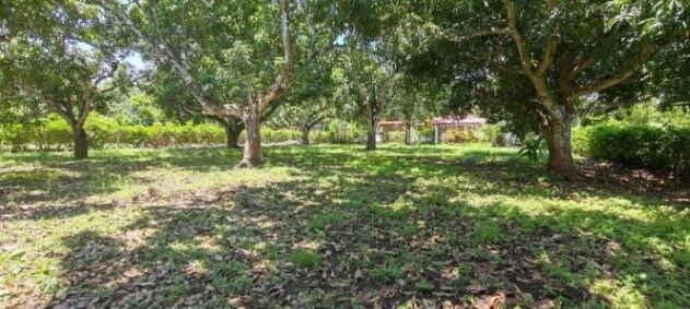 MLS-26-756 LS VENTA LOTE OROTINA ALAJUELA  en Orotina, Alajuela — ₡ 45 000 000