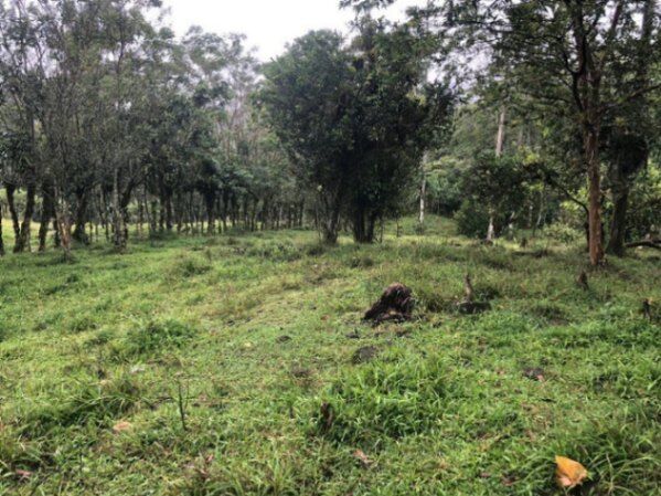 MLS-23-2560 KQ VENTA LOTE LA ORTIGA TURRIALBA  in Santa Teresita, Turrialba, Cartago — ₡ 43 500 000