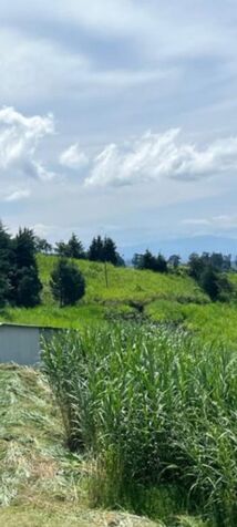 FINCA EN POAS DE ALAJUELA - FINANCIAMIENTO DIRECTO  en San Pedro, Poás, Alajuela — $2,400,000