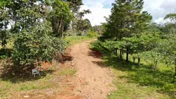 Finca Con Plantel Grande, Camino, Cabina, Potreros, Servicios Públicos in El General, Pérez Zeledón, San José — $220,000 - Photo 5 of 25