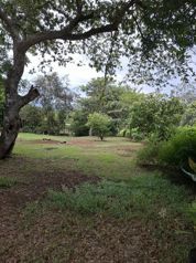 Oportunidad de venta terreno en Artieda de Esparza, Puntarenas en Espíritu Santo, Esparza, Puntarenas — 44 000 000 ₡ - Foto 2 de 8