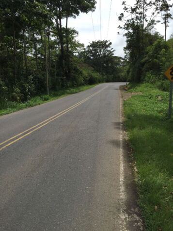 TERRENOS EN PARCELAS  en Pavones, Turrialba, Cartago — ₡ 14 500 000