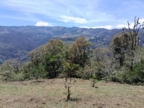 SE VENDE ESPECTACULAR FINCA EN EL GUARCO DE CARTAGO.  en San Isidro, El Guarco, Cartago — ₡ 140 000 000