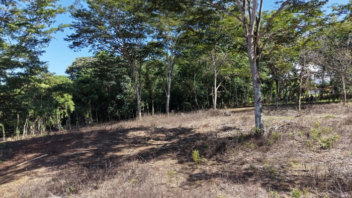 SE VENDE TERRENO PLANO Y LISTO PARA CONSTRUIR CON UBICACION ESTRATEGICA en El General, Pérez Zeledón, San José — $115,000