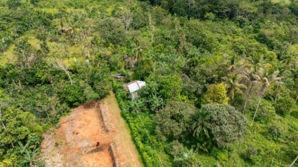 HERMOSA FINCA DE 16 ACRES CON QUEBRADAS Y ACCESO A RÍO EN SAN PEDRO in San Pedro, Pérez Zeledón, San José — $159,999