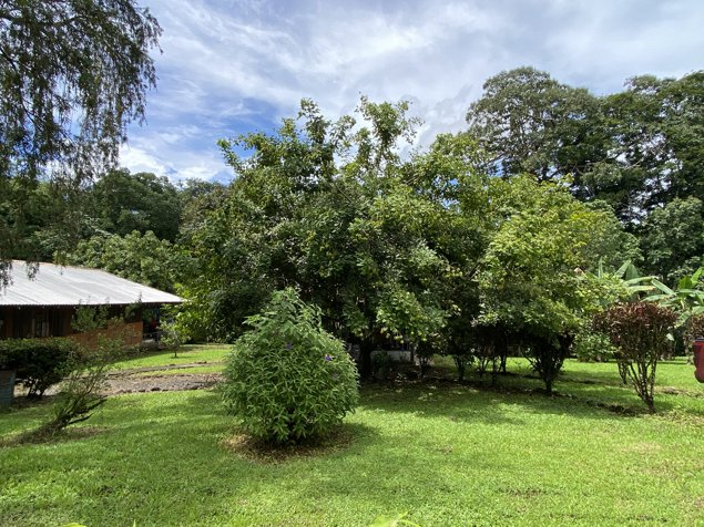 Venta de lote en Chachagua, San Ramón Alajuela en Peñas Blancas, San Ramón, Alajuela — $105,000 - Foto 3 de 19