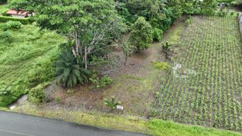 Se Vende Lote en Puerto Jiménez en Puerto Jiménez, Golfito, Puntarenas — 40 000 000 ₡ - Foto 2 de 10