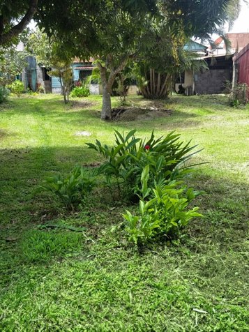 Terreno con Potencial Comercial y Residencial en San Rafael de Heredia en San Josecito, San Rafael, Heredia — ₡ 250 000 000