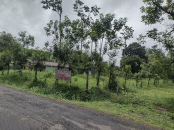 TRES LOTES EN VENTA en La Fortuna de San Carlos en La Fortuna, San Carlos, Alajuela — 22 000 000 ₡ - Foto 4 de 5