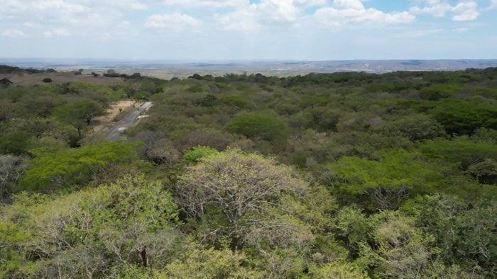 Terreno en venta en Liberia, Guanacaste en Nacascolo, Liberia, Guanacaste — ₡ 162 500 000 - Foto 2 de 14