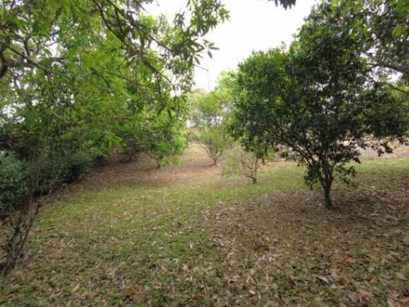 MLS-23-2437 VENTA LOTE OROTINA ALAJUELA en Orotina, Alajuela — ₡ 80 000 000