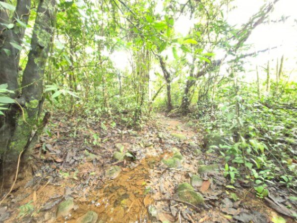 Finca de 6.4 hectares con rio Arenilla, San Pedro, Perez Zeledon. en Cajón, Pérez Zeledón, San José — $159,999
