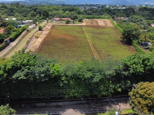 Venta de Lote en San Rafael de Alajuela. RAH 26-967  en San Rafael, Alajuela — $1,600,000