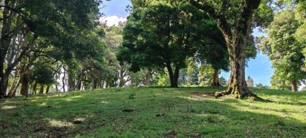 MLS-26-682 VENTA FINCA BARVA HEREDIA in San José de La Montaña, Barva, Heredia — $950,000