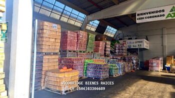 Heredia Barreal bodega industrial alquiler 270 metros /$2.633 en Ulloa, Heredia — $2,633 - Foto 5 de 6