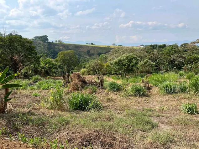 Terreno Exclusivoen San Juan de Grecia en San Juan, Naranjo, Alajuela — ₡ 50 000 000 - Foto 2 de 4