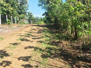 Terreno para Quinta en La Ceiba 7100m2 en La Ceiba, Orotina, Alajuela — $215,000 - Foto 5 de 6