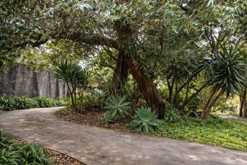 Terreno Privilegiado en Sabanilla Centro para desarrollar en San Pedro, Montes De Oca, San José — $1,250,000 - Foto 5 de 9