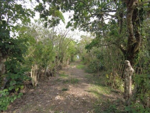 Se vende lote de 6,800m2 en San Luis de Santo Domingo 23-3201 en Santo Domingo, Heredia — ₡ 360 000 000
