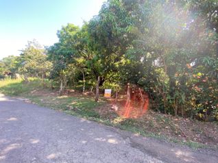 LOT FOR SALE WITH RANCH, SAN JOSE, TURRUBARES, SAN FRANCISCO in San Luis, Turrubares, San José — 65 000 000 ₡ - Photo 5 of 19