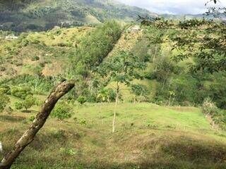Venta de Finca en Turrialba-Cartago. RAH 26-1245 en La Suiza, Turrialba, Cartago — ₡ 95 000 000
