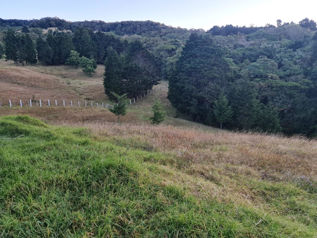 VENTA - Propiedad de 10.000 m² con Río y Vista Panorámica en Sacramento, Barva de Heredia en San José de La Montaña, Barva, Heredia — 131 250 000 ₡ - Foto 2 de 8