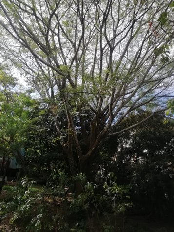 Lote en Santa Ana para Desarrollador en Pozos, Santa Ana, San José — $1,614,080 - Foto 3 de 10